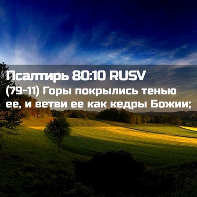 Picture 02 - Псалтирь 80:10 RUSV - (79-11) Горы покрылись тенью - Bible Verse Picture