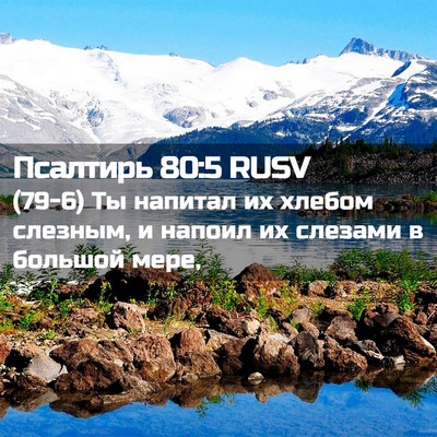 Picture 02 - Псалтирь 80:5 RUSV - (79-6) Ты напитал их хлебом - Bible Verse Picture