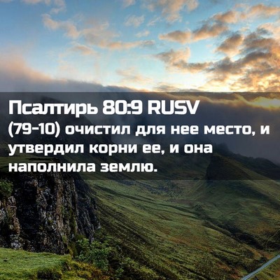 Picture 02 - Псалтирь 80:9 RUSV - (79-10) очистил для нее место, - Bible Verse Picture