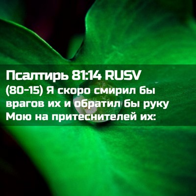 Picture 02 - Псалтирь 81:14 RUSV - (80-15) Я скоро смирил бы - Bible Verse Picture