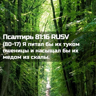 Picture 02 - Псалтирь 81:16 RUSV - (80-17) Я питал бы их туком - Bible Verse Picture