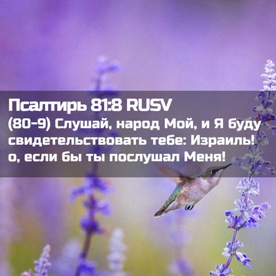 Picture 02 - Псалтирь 81:8 RUSV - (80-9) Слушай, народ Мой, и Я - Bible Verse Picture