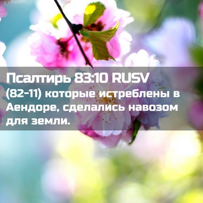 Picture 02 - Псалтирь 83:10 RUSV - (82-11) которые истреблены в - Bible Verse Picture