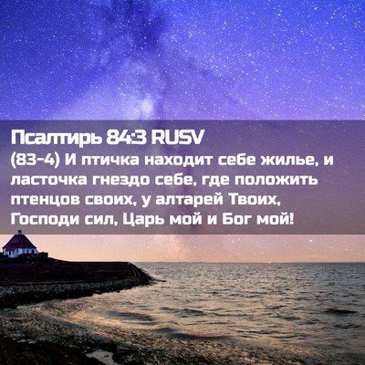 Picture 02 - Псалтирь 84:3 RUSV - (83-4) И птичка находит себе - Bible Verse Picture