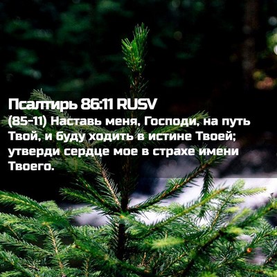 Picture 02 - Псалтирь 86:11 RUSV - (85-11) Наставь меня, Господи, - Bible Verse Picture