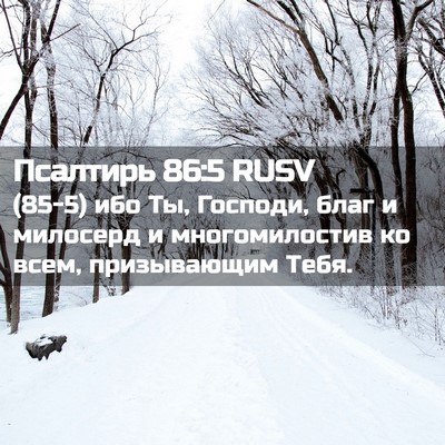 Picture 02 - Псалтирь 86:5 RUSV - (85-5) ибо Ты, Господи, благ и - Bible Verse Picture