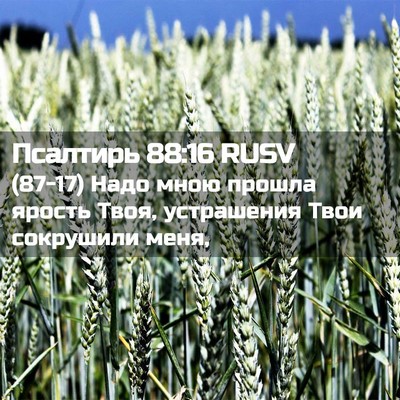 Picture 02 - Псалтирь 88:16 RUSV - (87-17) Надо мною прошла - Bible Verse Picture