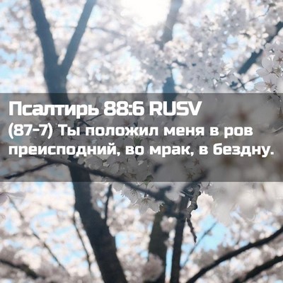 Picture 02 - Псалтирь 88:6 RUSV - (87-7) Ты положил меня в ров - Bible Verse Picture