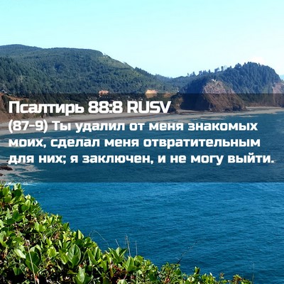 Picture 02 - Псалтирь 88:8 RUSV - (87-9) Ты удалил от меня - Bible Verse Picture
