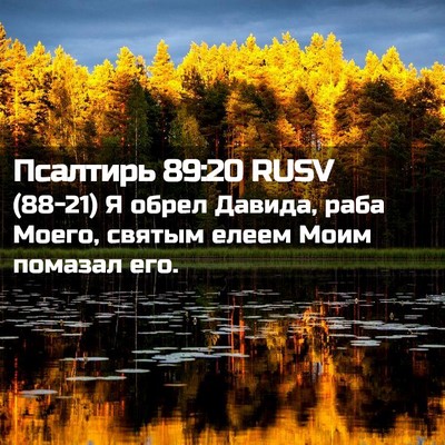 Picture 02 - Псалтирь 89:20 RUSV - (88-21) Я обрел Давида, раба - Bible Verse Picture
