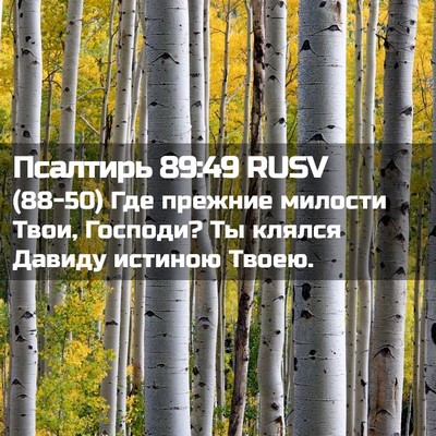 Picture 02 - Псалтирь 89:49 RUSV - (88-50) Где прежние милости - Bible Verse Picture