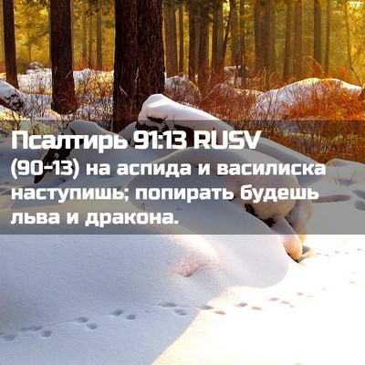 Picture 02 - Псалтирь 91:13 RUSV - (90-13) на аспида и василиска - Bible Verse Picture