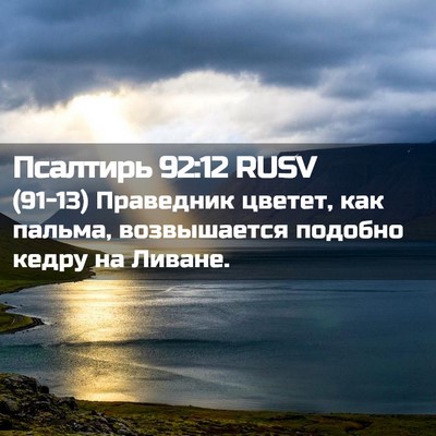 Picture 02 - Псалтирь 92:12 RUSV - (91-13) Праведник цветет, как - Bible Verse Picture