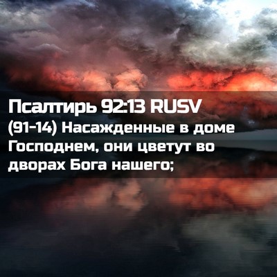 Picture 02 - Псалтирь 92:13 RUSV - (91-14) Насажденные в доме - Bible Verse Picture