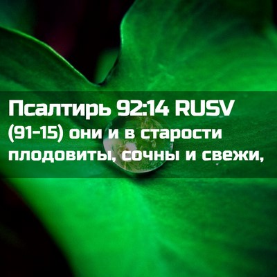 Picture 02 - Псалтирь 92:14 RUSV - (91-15) они и в старости - Bible Verse Picture