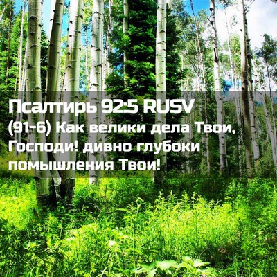 Picture 02 - Псалтирь 92:5 RUSV - (91-6) Как велики дела Твои, - Bible Verse Picture
