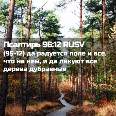 Picture 02 - Псалтирь 96:12 RUSV - (95-12) да радуется поле и все, - Bible Verse Picture