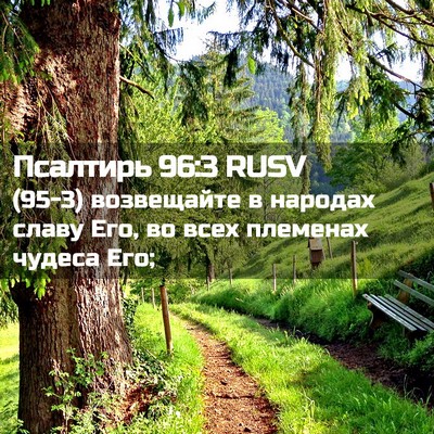 Picture 02 - Псалтирь 96:3 RUSV - (95-3) возвещайте в народах - Bible Verse Picture