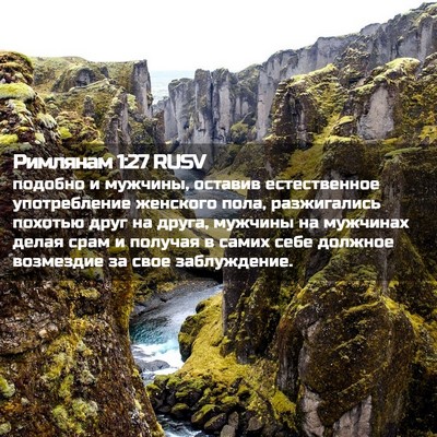 Picture 02 - Римлянам 1:27 RUSV - подобно и мужчины, оставив - Bible Verse Picture