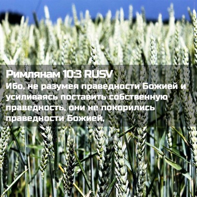 Picture 02 - Римлянам 10:3 RUSV - Ибо, не разумея - Bible Verse Picture