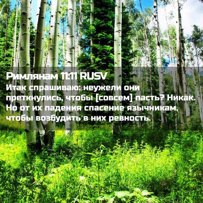 Picture 02 - Римлянам 11:11 RUSV - Итак спрашиваю: неужели - Bible Verse Picture