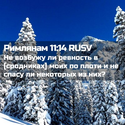 Picture 02 - Римлянам 11:14 RUSV - Не возбужу ли ревность в - Bible Verse Picture