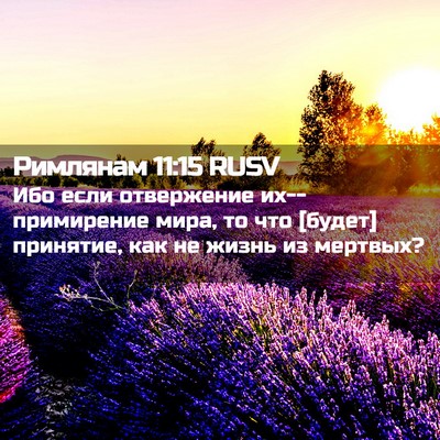 Picture 02 - Римлянам 11:15 RUSV - Ибо если отвержение - Bible Verse Picture