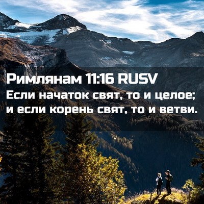 Picture 02 - Римлянам 11:16 RUSV - Если начаток свят, то и - Bible Verse Picture