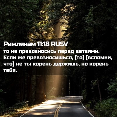 Picture 02 - Римлянам 11:18 RUSV - то не превозносись перед - Bible Verse Picture