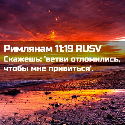 Picture 02 - Римлянам 11:19 RUSV - Скажешь: 'ветви отломились, - Bible Verse Picture