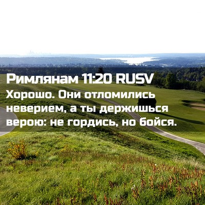 Picture 02 - Римлянам 11:20 RUSV - Хорошо. Они отломились - Bible Verse Picture