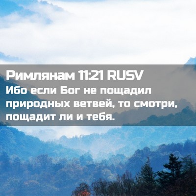 Picture 02 - Римлянам 11:21 RUSV - Ибо если Бог не пощадил - Bible Verse Picture