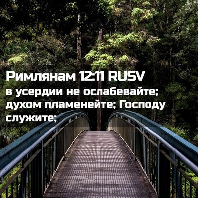 Picture 02 - Римлянам 12:11 RUSV - в усердии не ослабевайте; - Bible Verse Picture