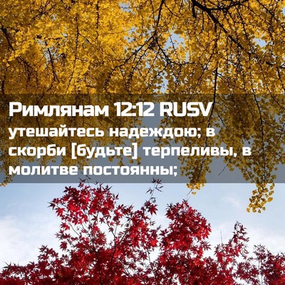 Picture 02 - Римлянам 12:12 RUSV - утешайтесь надеждою; в - Bible Verse Picture