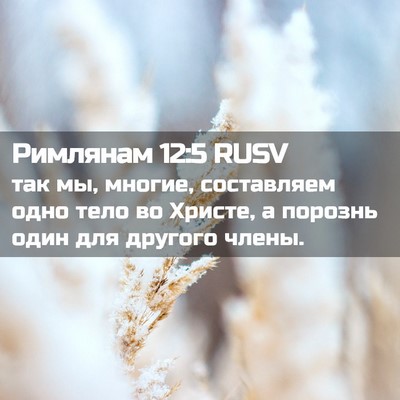 Picture 02 - Римлянам 12:5 RUSV - так мы, многие, составляем - Bible Verse Picture