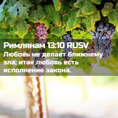 Picture 02 - Римлянам 13:10 RUSV - Любовь не делает ближнему - Bible Verse Picture