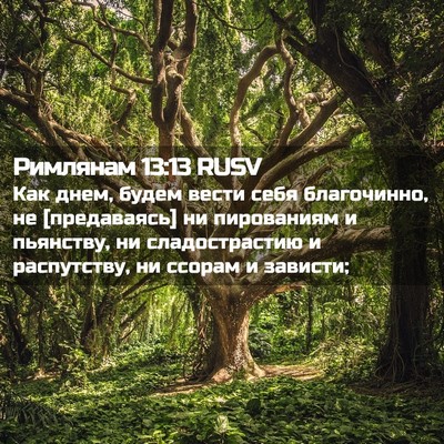 Picture 02 - Римлянам 13:13 RUSV - Как днем, будем вести себя - Bible Verse Picture
