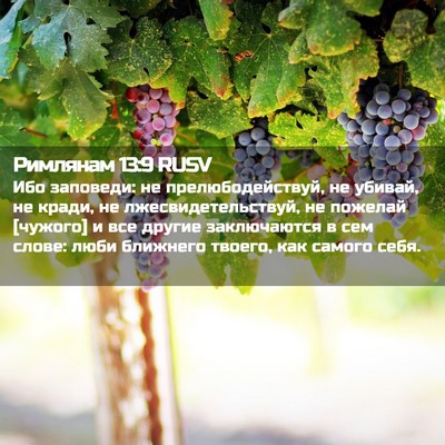 Picture 02 - Римлянам 13:9 RUSV - Ибо заповеди: не - Bible Verse Picture
