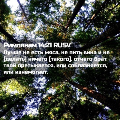 Picture 02 - Римлянам 14:21 RUSV - Лучше не есть мяса, не пить - Bible Verse Picture