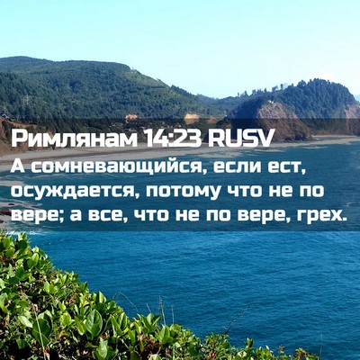 Picture 02 - Римлянам 14:23 RUSV - А сомневающийся, если ест, - Bible Verse Picture