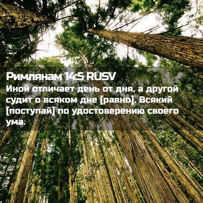 Picture 02 - Римлянам 14:5 RUSV - Иной отличает день от дня, - Bible Verse Picture