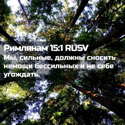 Picture 02 - Римлянам 15:1 RUSV - Мы, сильные, должны сносить - Bible Verse Picture