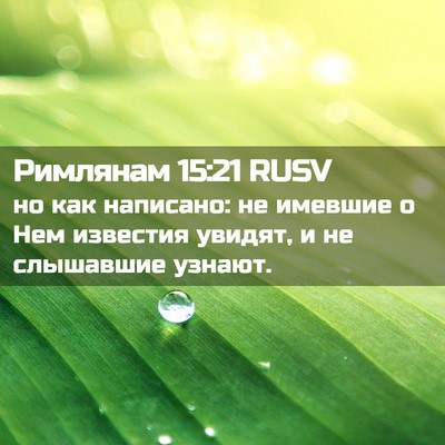 Picture 02 - Римлянам 15:21 RUSV - но как написано: не имевшие - Bible Verse Picture