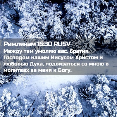 Picture 02 - Римлянам 15:30 RUSV - Между тем умоляю вас, - Bible Verse Picture