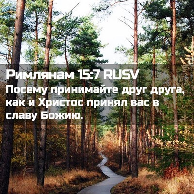 Picture 02 - Римлянам 15:7 RUSV - Посему принимайте друг - Bible Verse Picture