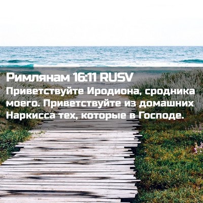 Picture 02 - Римлянам 16:11 RUSV - Приветствуйте Иродиона, - Bible Verse Picture