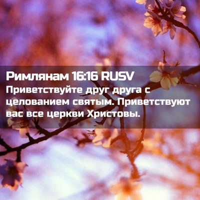 Picture 02 - Римлянам 16:16 RUSV - Приветствуйте друг друга с - Bible Verse Picture