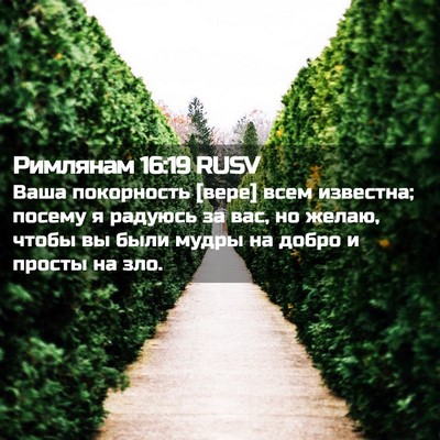Picture 02 - Римлянам 16:19 RUSV - Ваша покорность [вере] всем - Bible Verse Picture