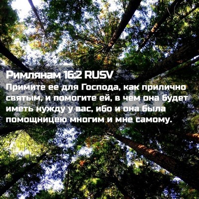 Picture 02 - Римлянам 16:2 RUSV - Примите ее для Господа, как - Bible Verse Picture