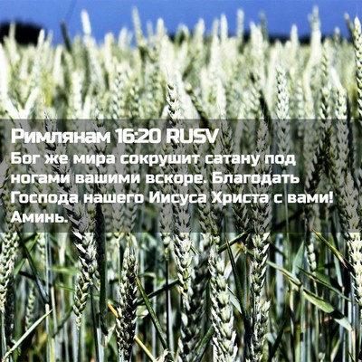 Picture 02 - Римлянам 16:20 RUSV - Бог же мира сокрушит - Bible Verse Picture